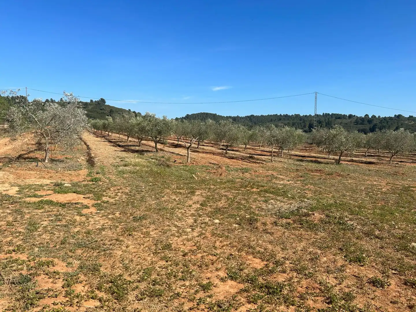 Terreno en venta en BARONA, Vall d'Alba