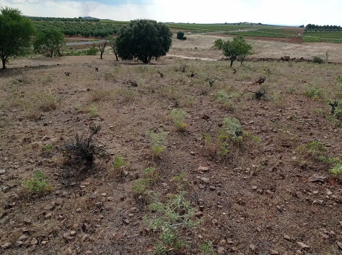 Finca rústica en venda en Cózar