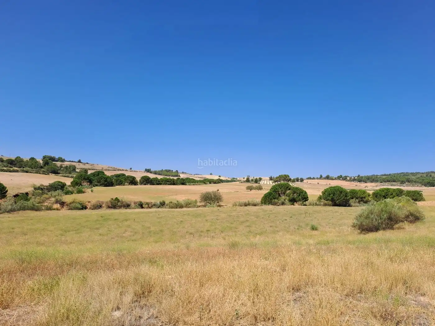 Terreno rústico en venta en CM-412 222