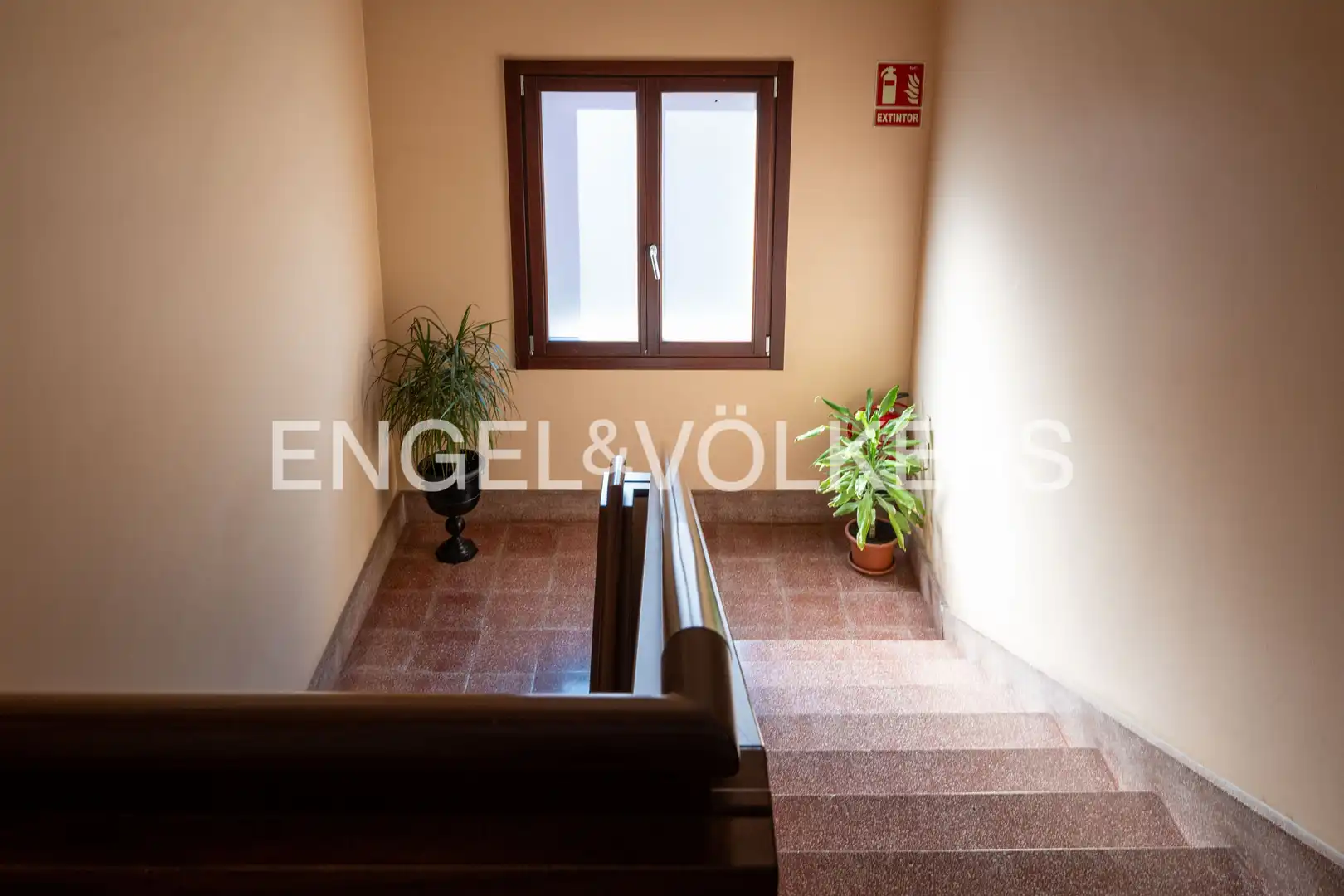 Duplexes for sale in Jauregi Kalea, Antiguo