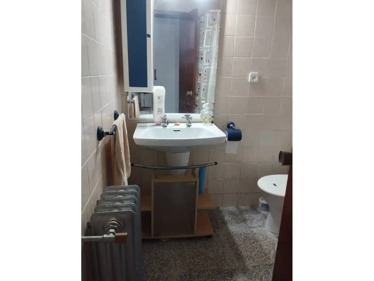 Bany de Casa o xalet en venda en Luciana