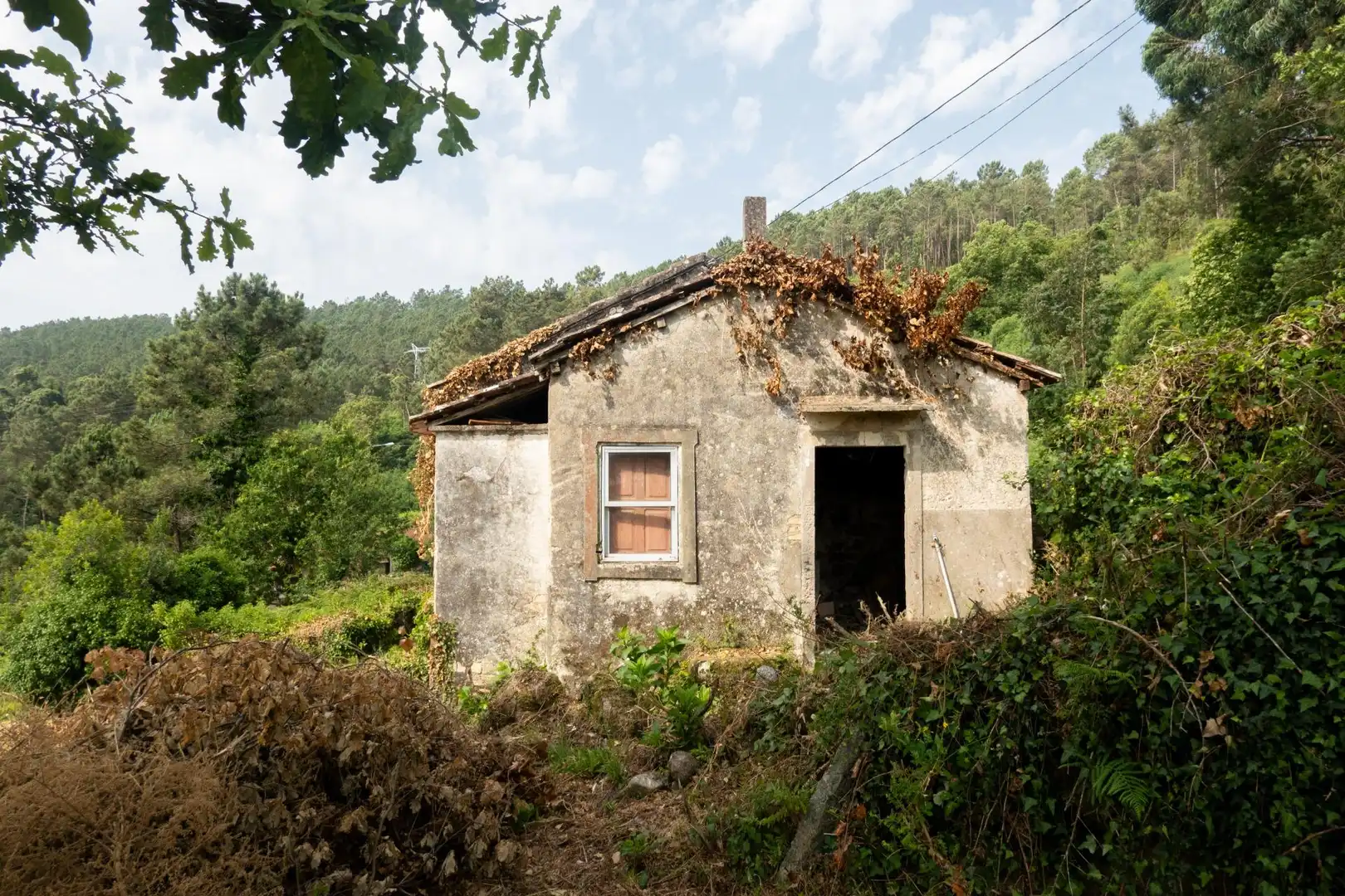 Vista exterior de Finca rústica en venda en Arbo amb Jardí privat