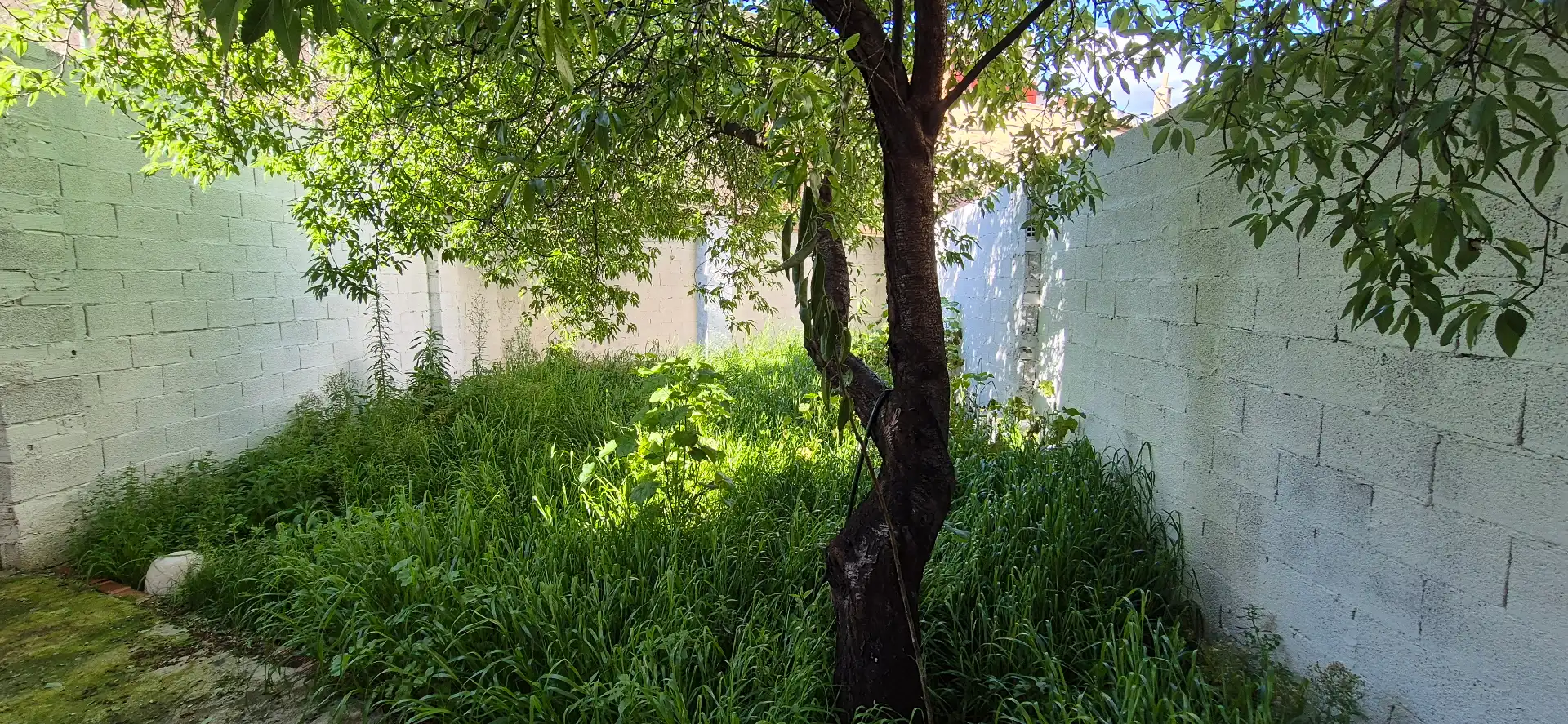 Jardí de Casa o xalet en venda en Bellreguard amb Aire condicionat, Calefacció i Jardí privat