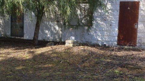 Foto 4 de Finca rústica en venta en Chipiona Norte, Chipiona