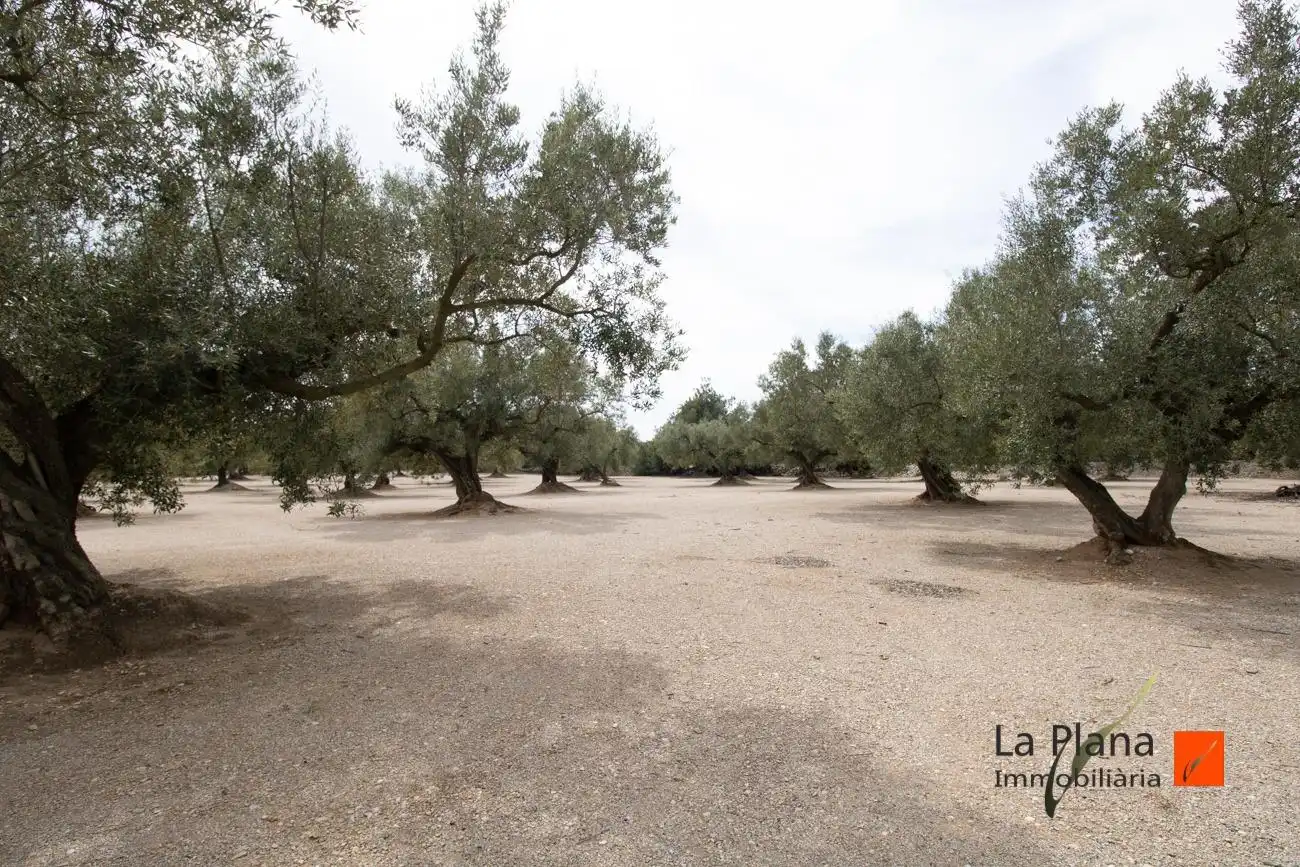 Maison rustique à vendre à La Galera, imagen 4