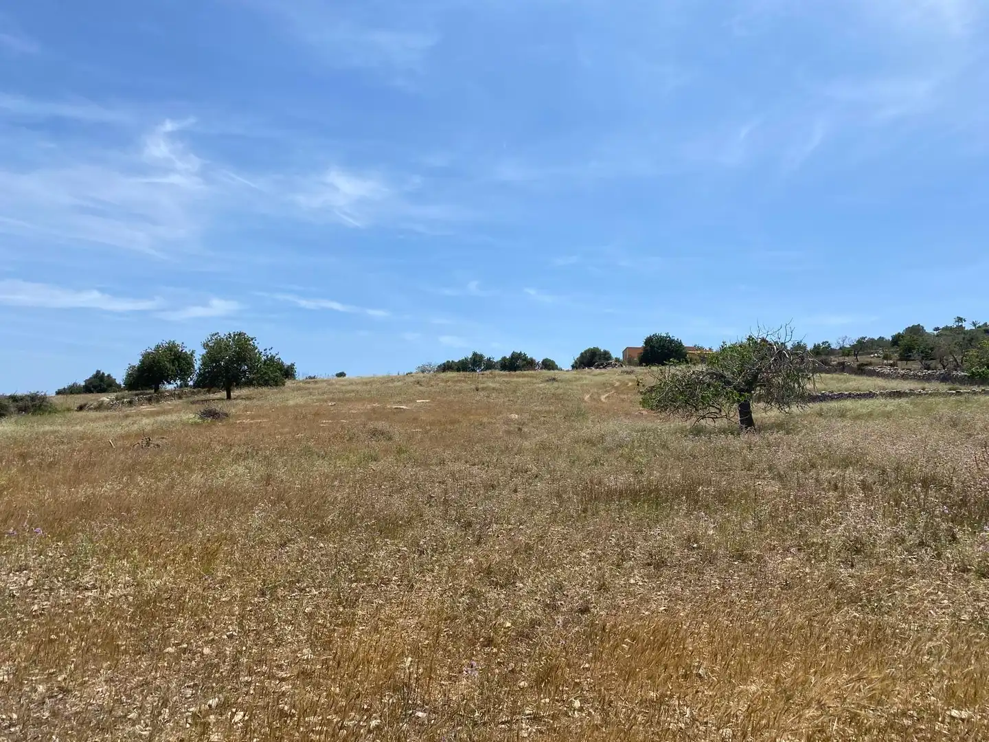 Grundstücke und Bauplätze zum Verkauf in Zona d'Interior, imagen 3