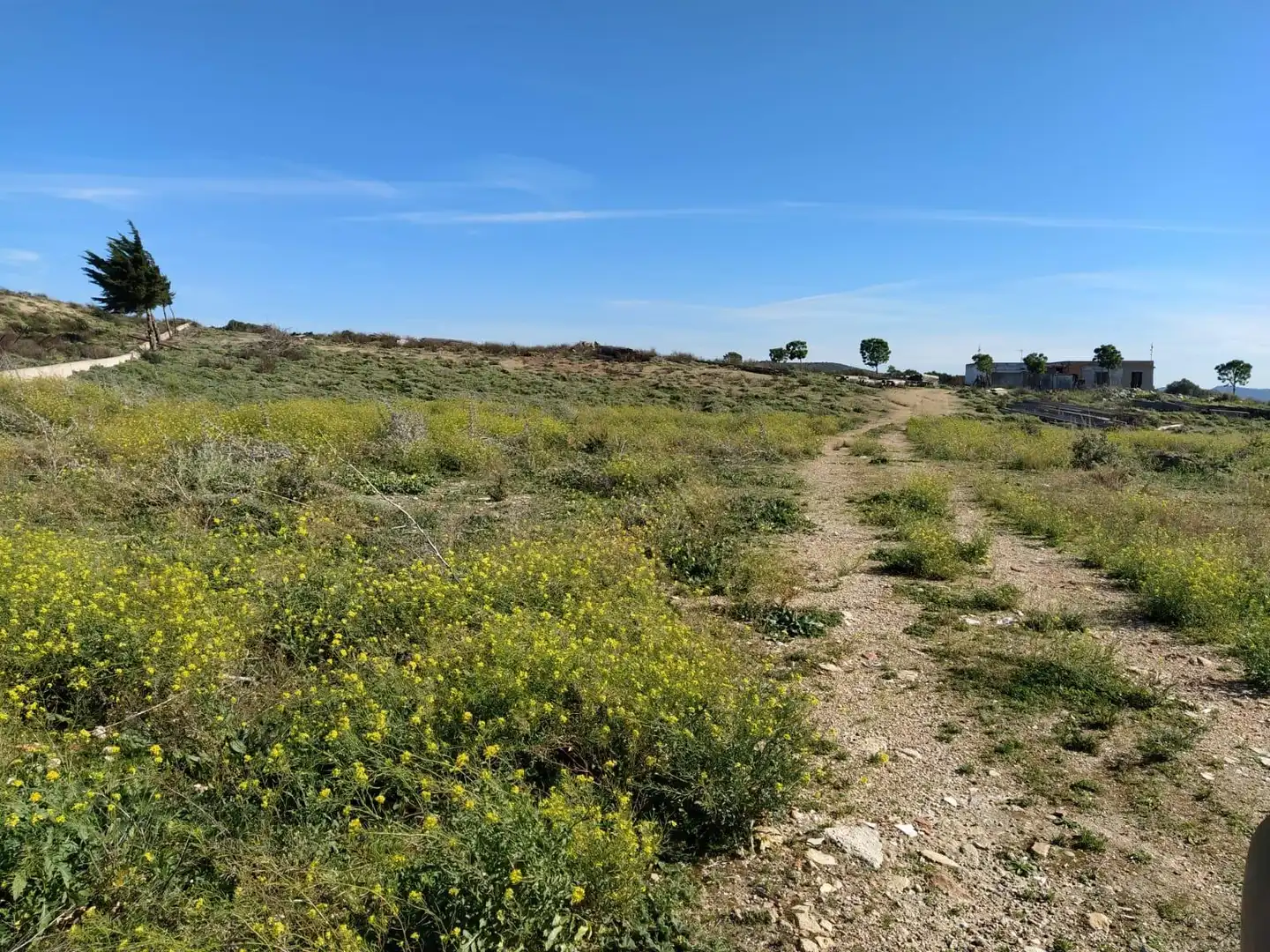 Terreny residencial en venda a Medina Sidonia, imagen 13