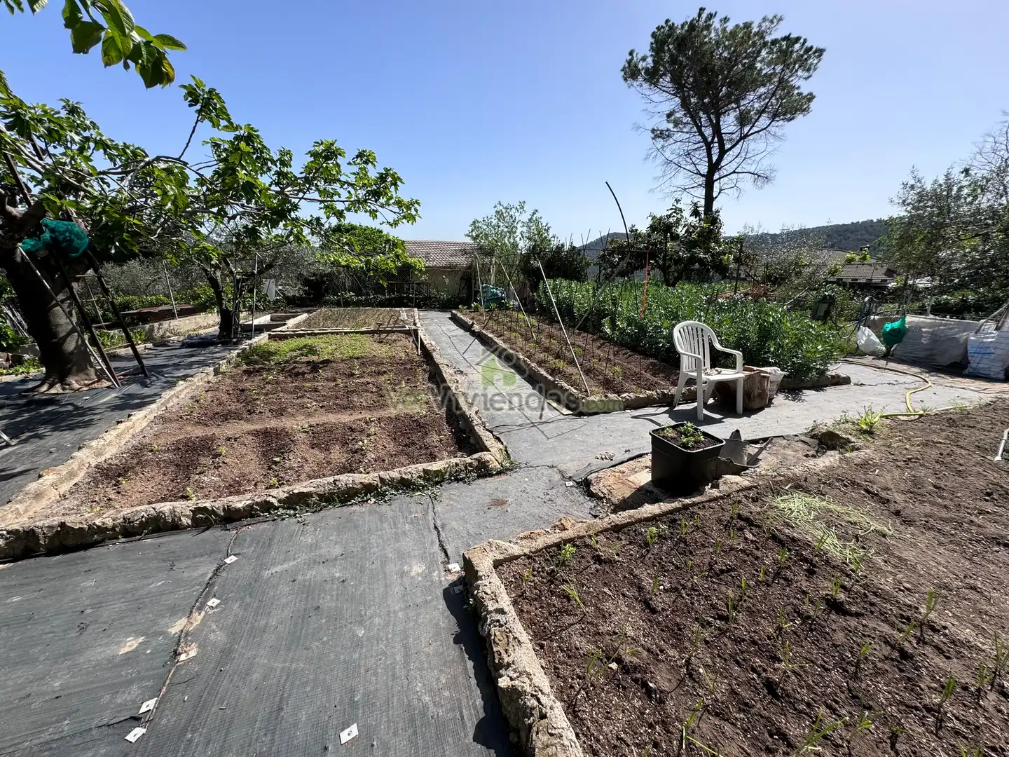 Casa o xalet en venda a Carrer de Migjorn, 34, Vallirana