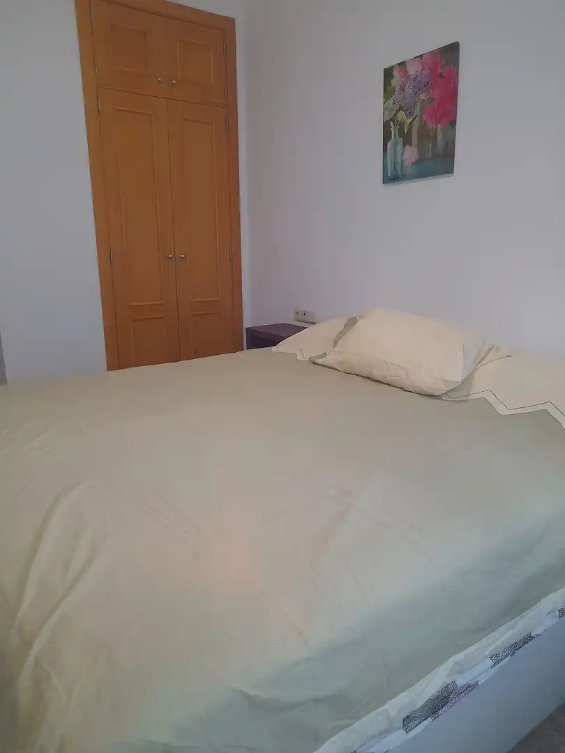 Apartament de lloguer a Calle General Serrano Orive, Centro
