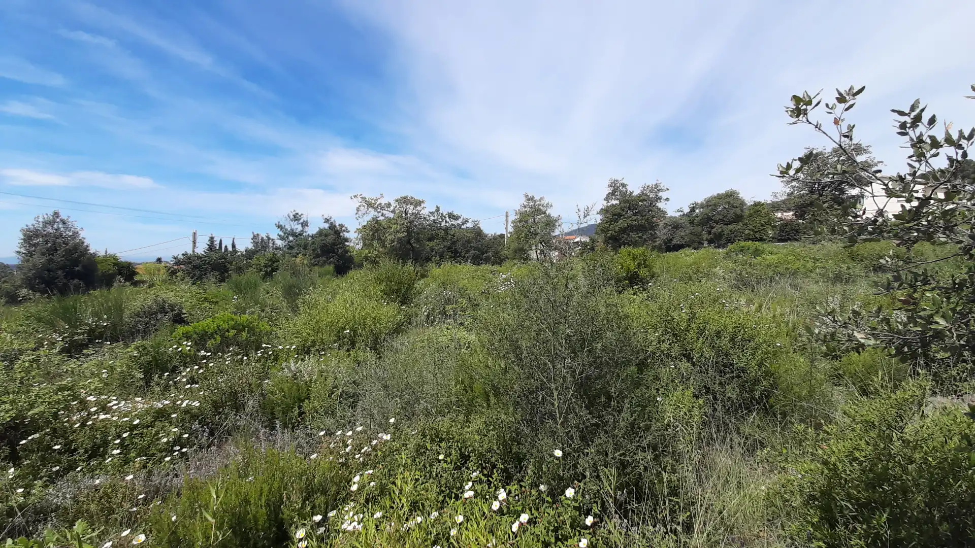 Residential land for sale in Carrer dels Tiŀlers 5, imagen 5