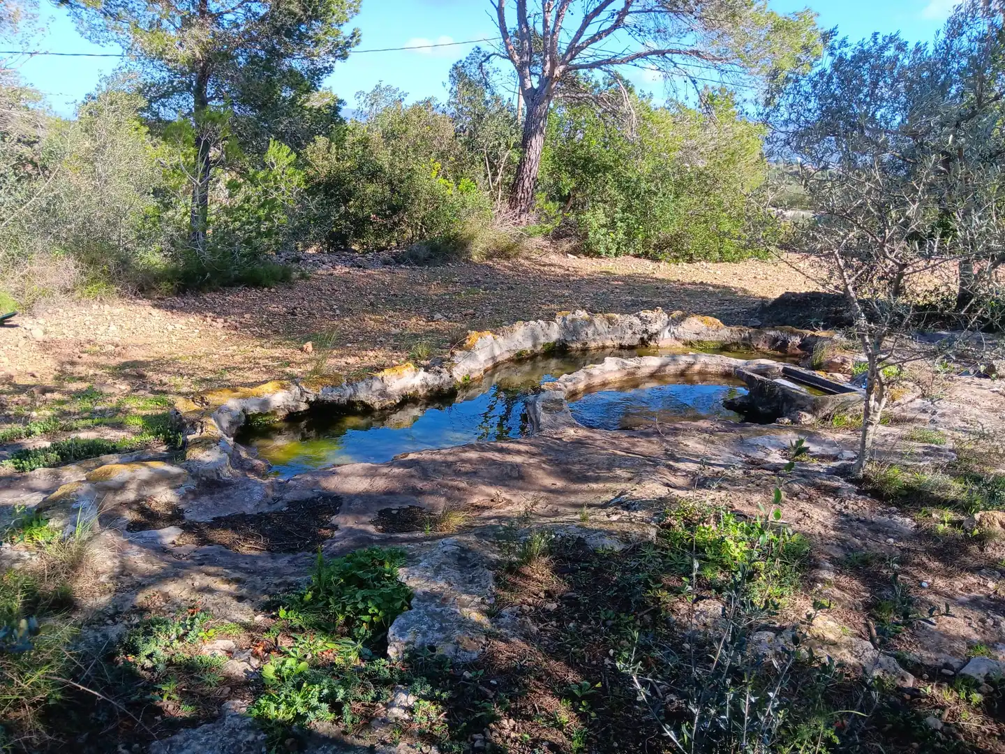 Piscina de Casa o xalet en venda en Tortosa amb Terrassa i Balcó