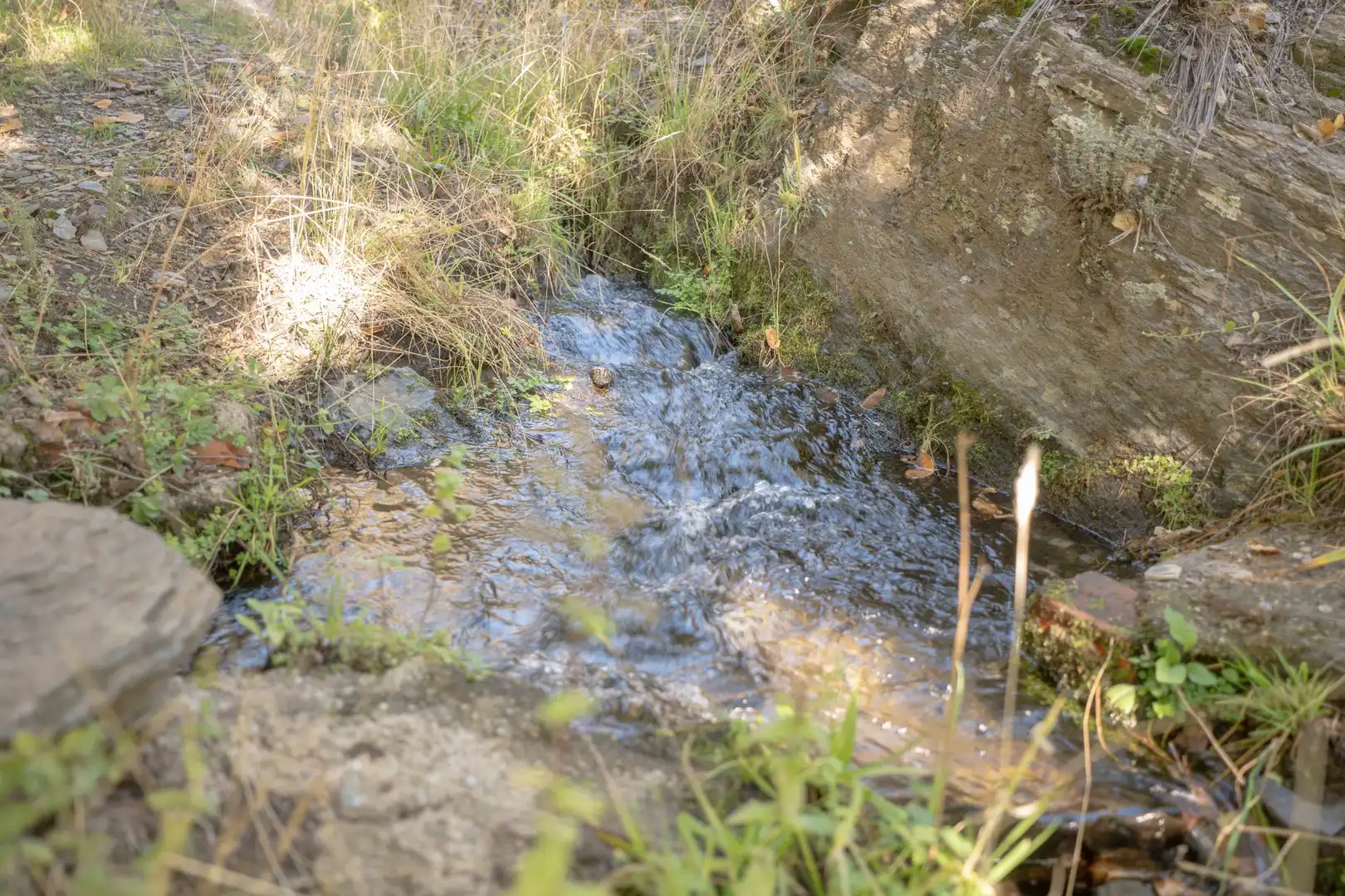 Vista exterior de Finca rústica en venda en Válor amb Jardí privat i Terrassa