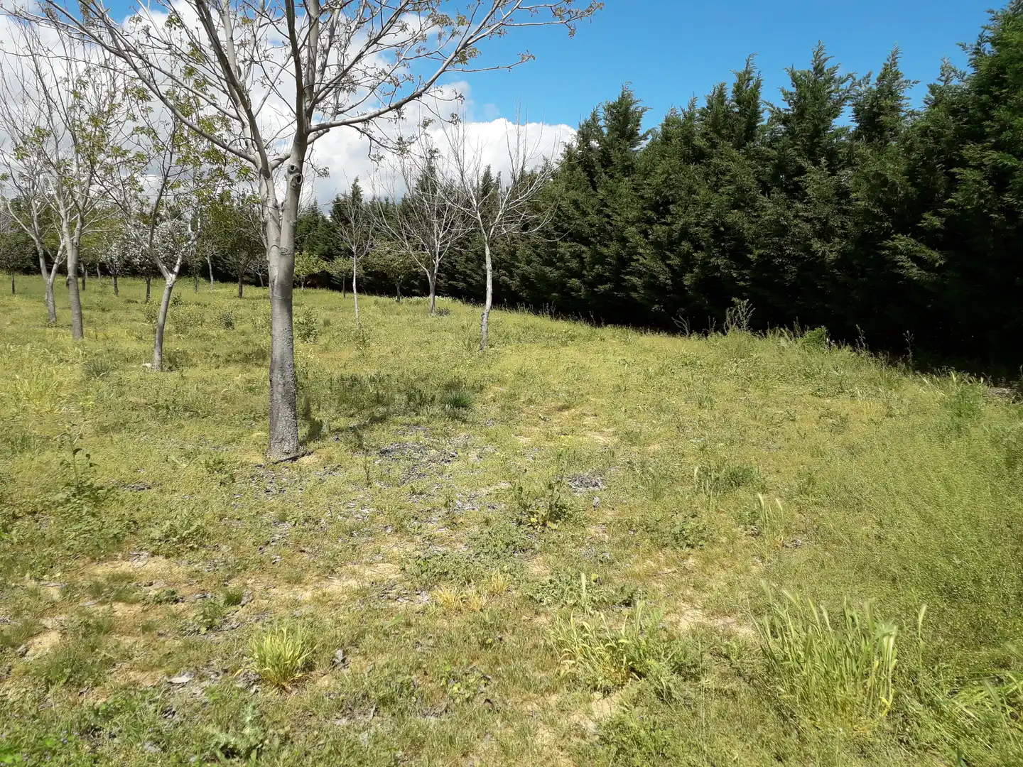 Terreno residenziale in vendita a Calle la Cruz, imagen 7