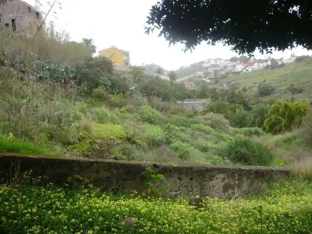 Terrain rustique à vendre à Olivos (A Los)