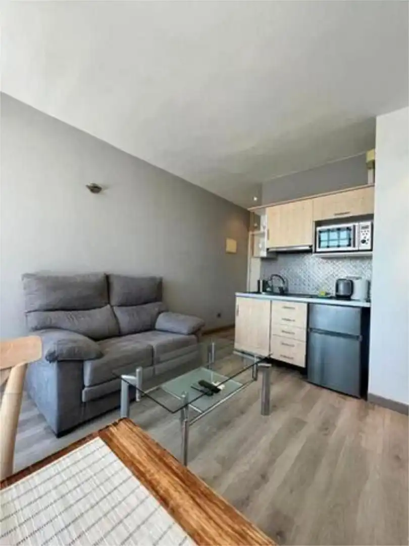 Sala d'estar de Estudi en venda en Marbella amb Aire condicionat, Terrassa i Moblat