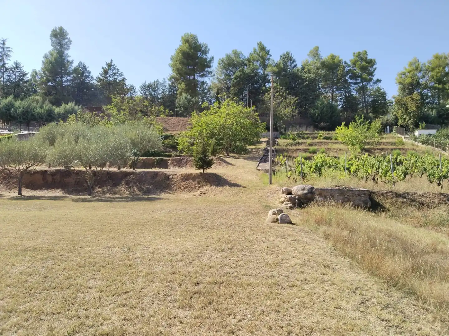 Houses for sale in Nalda