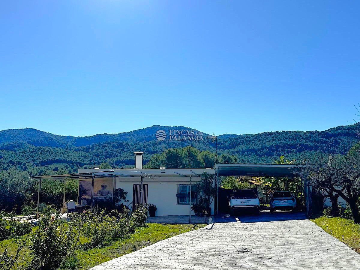 Vista exterior de Casa o xalet en venda en Estivella amb Aire condicionat, Calefacció i Jardí privat