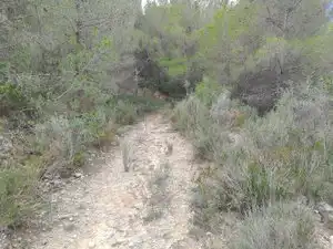 Terreno rustico in vendita a Carrer la Torreta, imagen 12