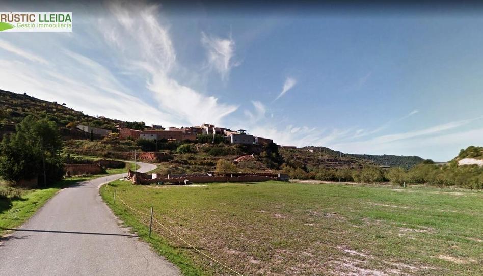 Photo 1 of House or chalet for sale in Els Torms, Lleida