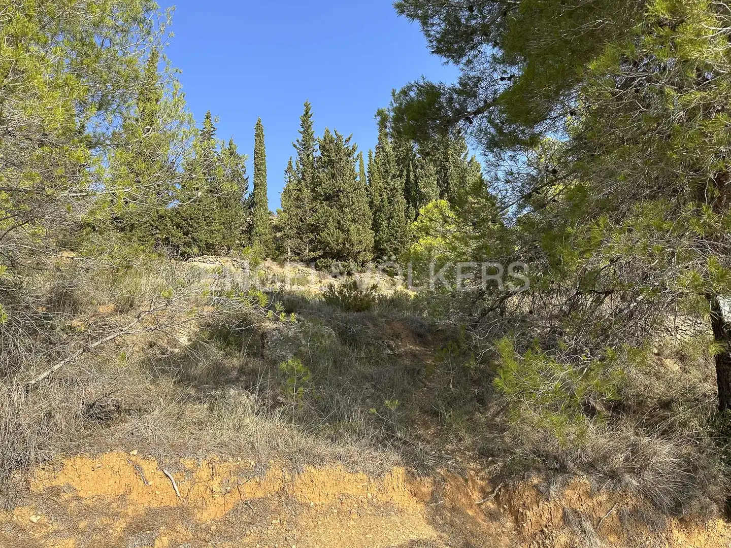 Residential land for sale in Torrelles de Foix, imagen 30