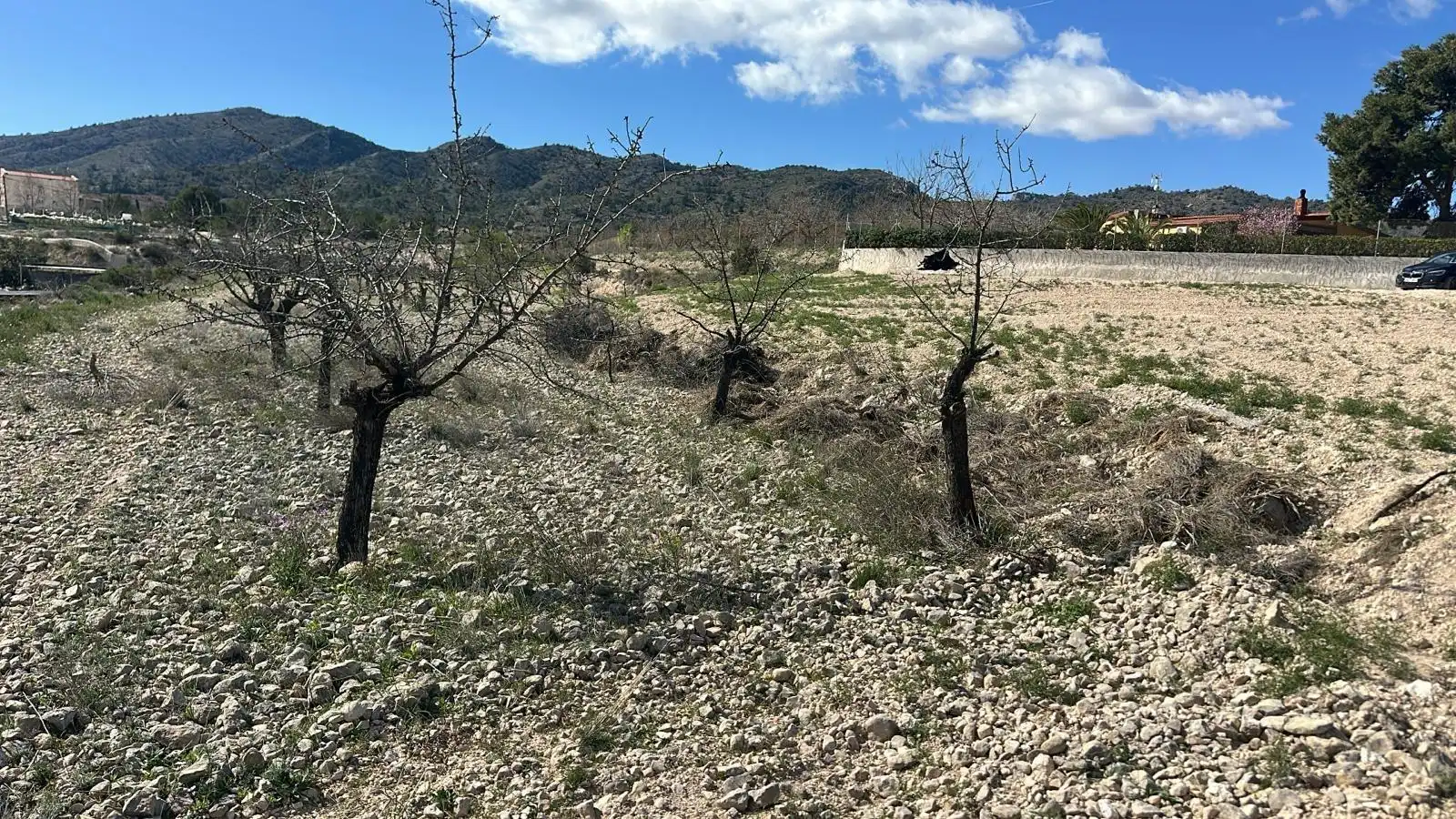 Terreno rustico in vendita a Las Trescientas - San Francisco - Ciudad Vergel, imagen 5