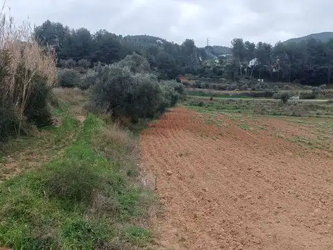 Rustikales Grundstück zum Verkauf in Rebato 1, imagen 3