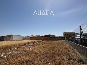 Terrain rustique à vendre à Polígono 14 Parcela 63 EL PALOMAR. POZORRUBIO DE SANTIAGO (CUENCA)
