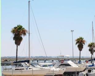 Premises for sale in San Fernando  with Terrace