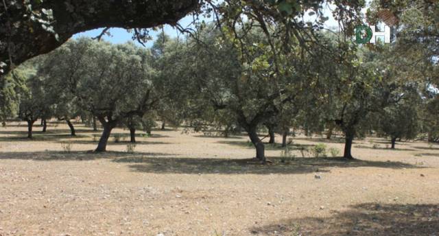 Terreno residencial en Venta en Campus Universitario