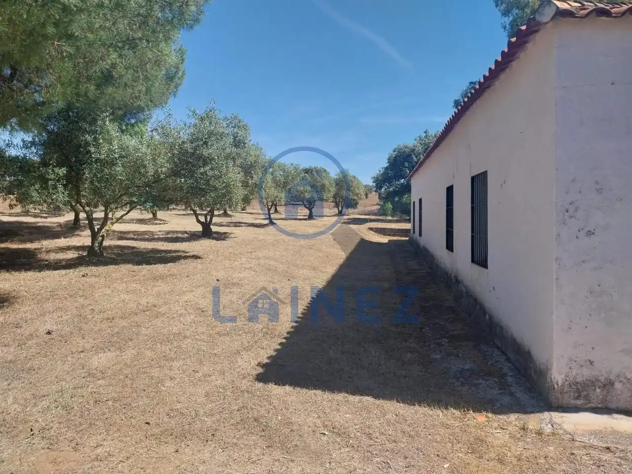 Rural land for sale in Fuente Obejuna, imagen 9