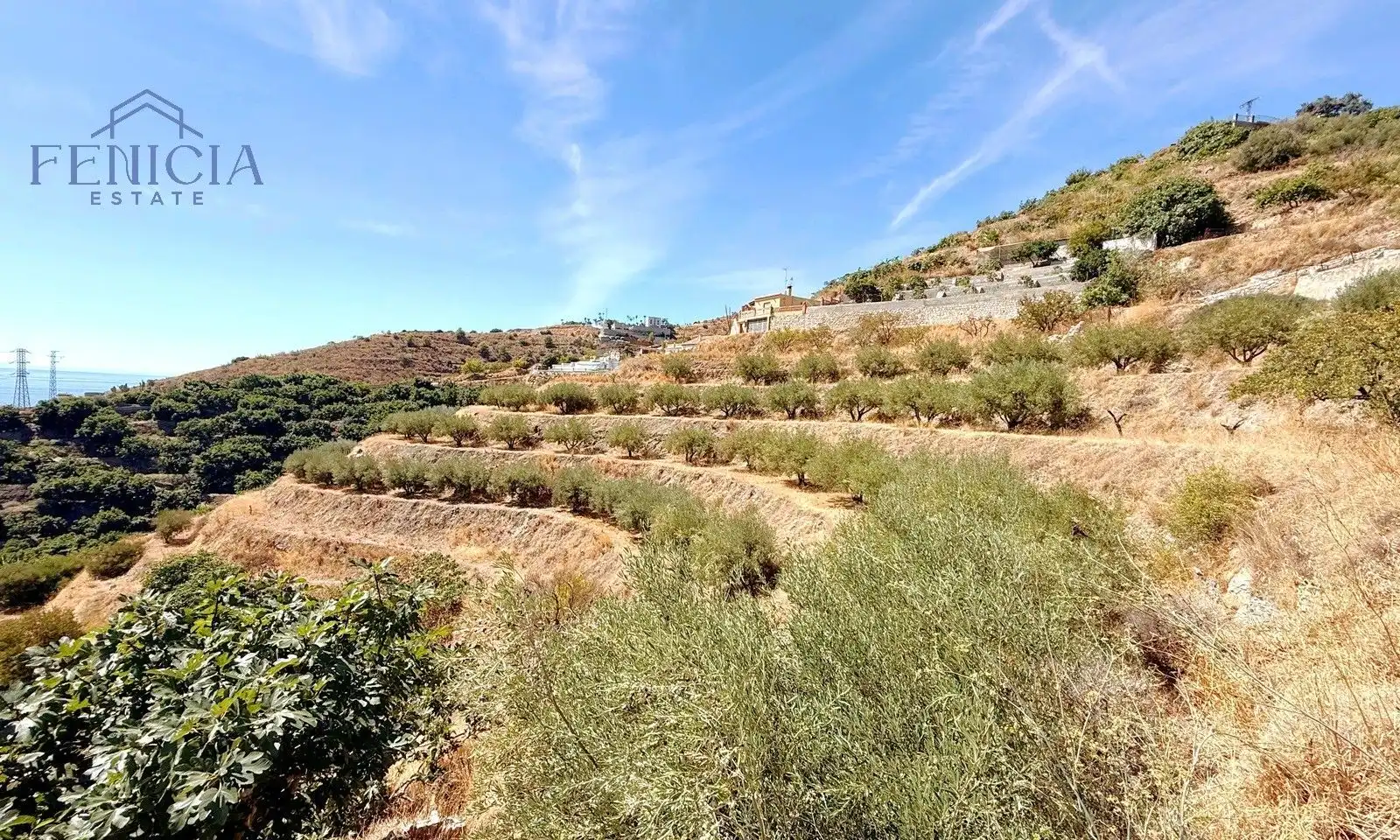 Country homes for sale in Almuñécar  with Storage room