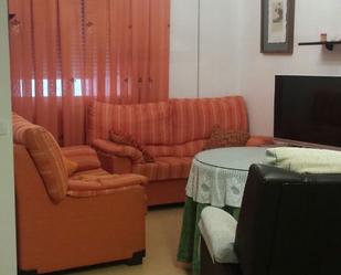 Living room of Flat for sale in Castro del Río  with Storage room and Furnished