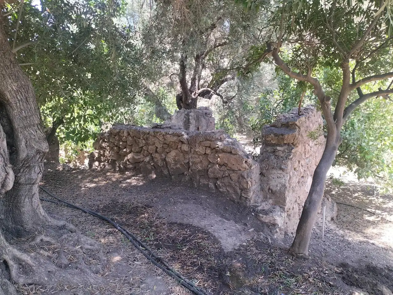 Casa rústica en venda a El Pinar, imagen 10