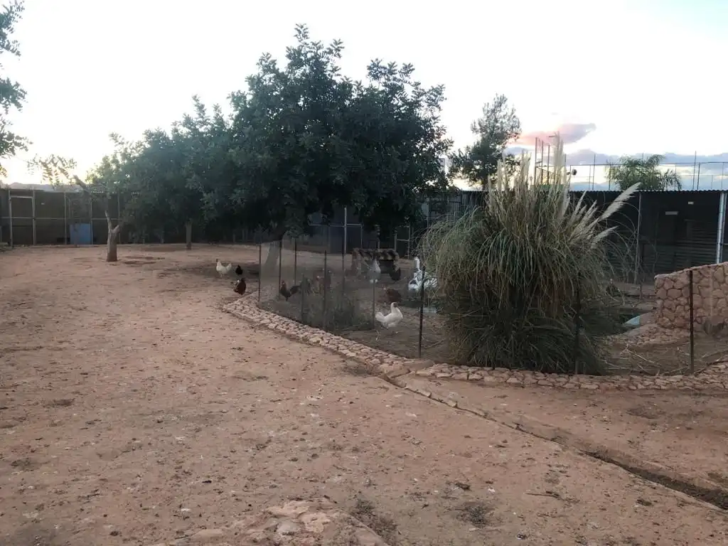 Casa con giardino in affitto a Pedanías Oeste, imagen 16