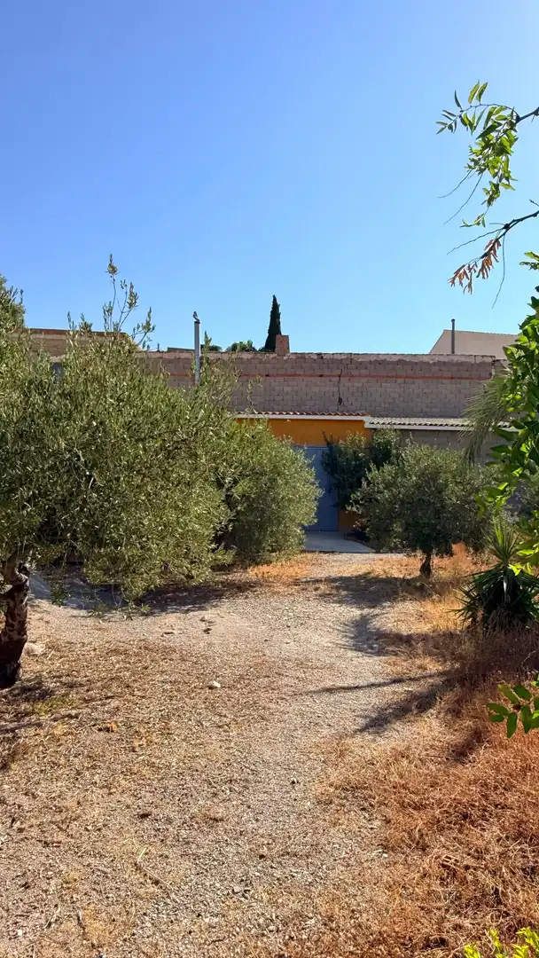 Vista exterior de Casa o xalet en venda en Albox amb Jardí privat