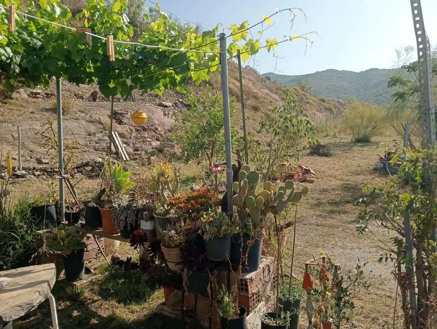 Casa rústica en venda a Vélez-Málaga ciudad, imagen 7