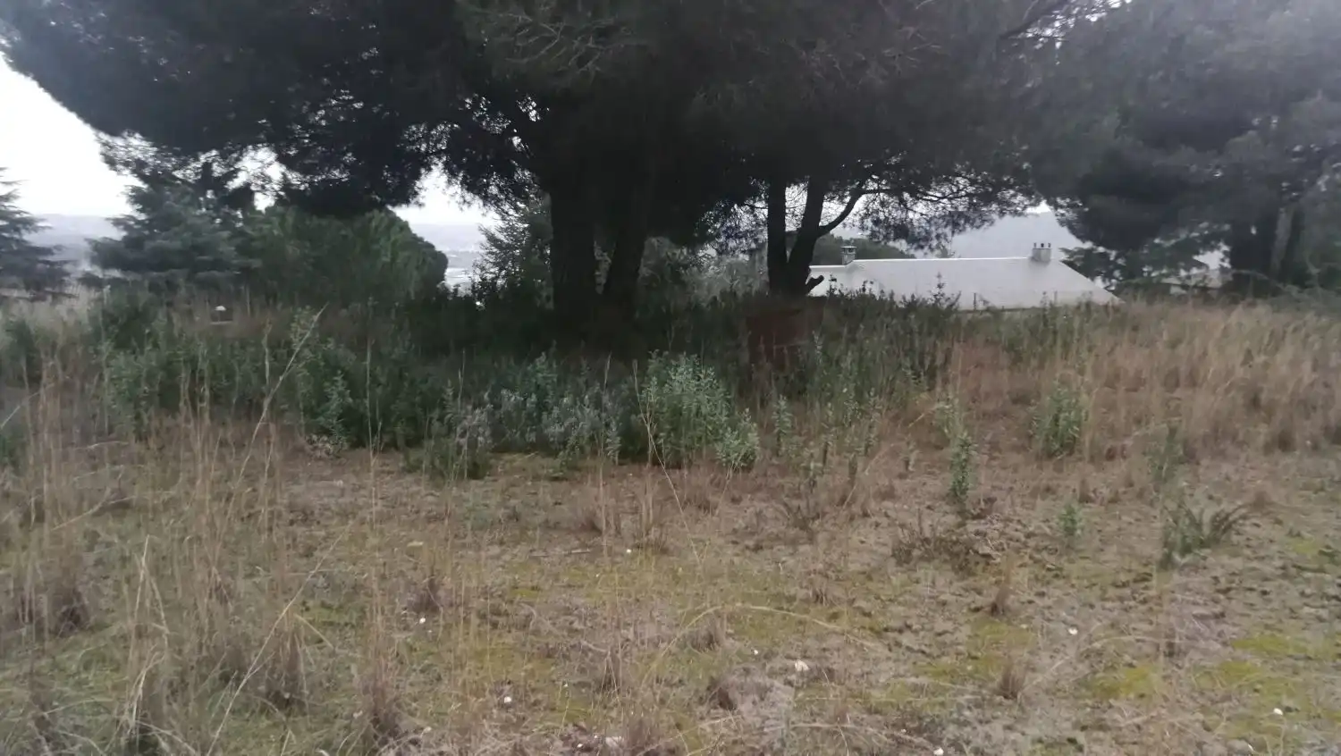Residencial en venta en Bigues i Riells del Fai