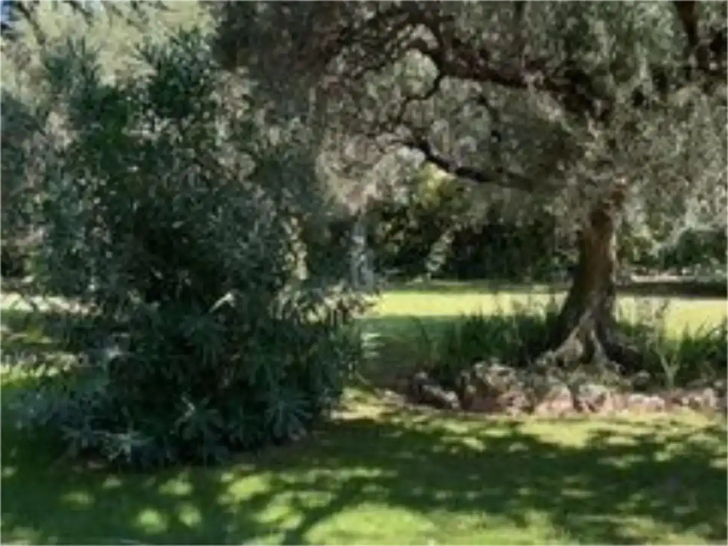 Jardí de Finca rústica en venda en Pedrola amb Jardí privat, Piscina i Moblat