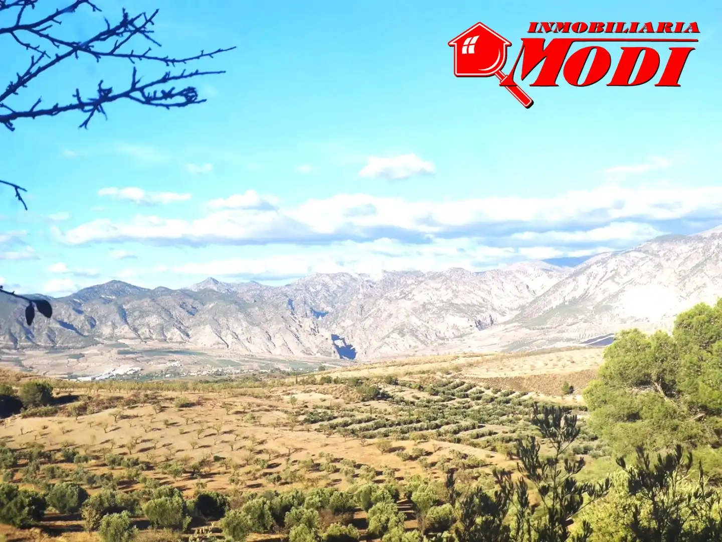 Vista exterior de Finca rústica en venda en Villamena amb Jardí privat