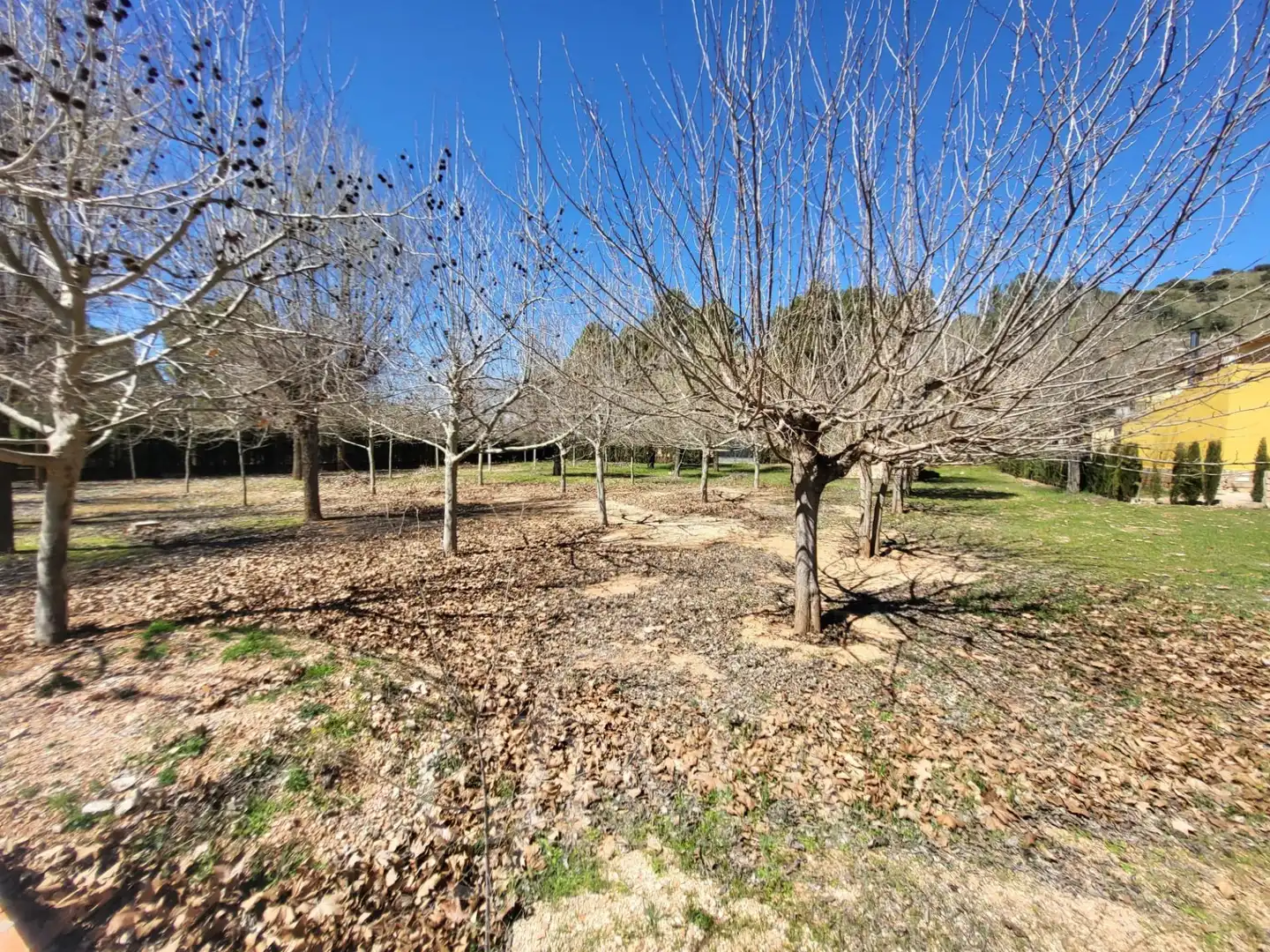 Land for sale in Ruidera