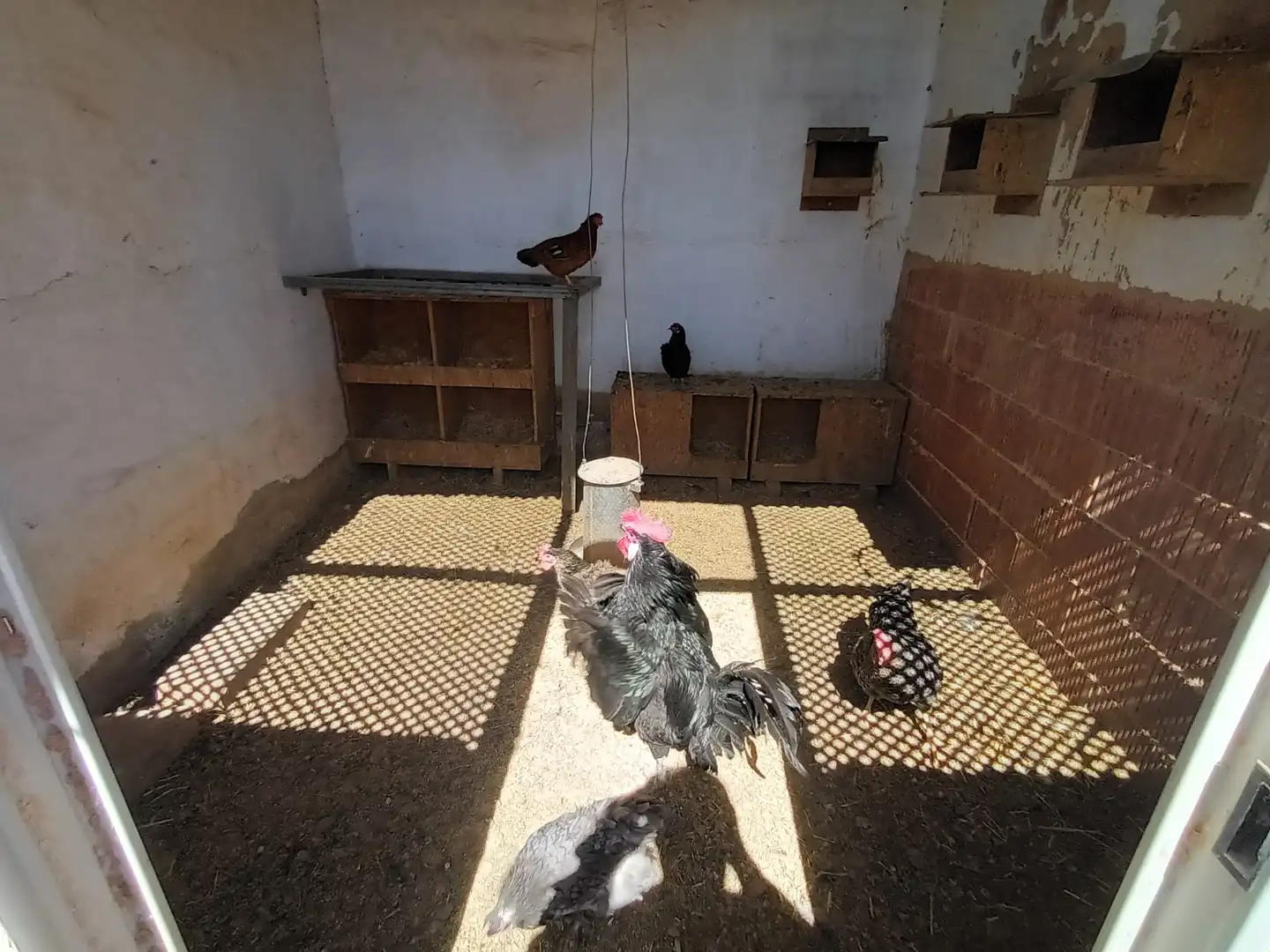 Terreno rustico in vendita a Pedanías Oeste, imagen 34
