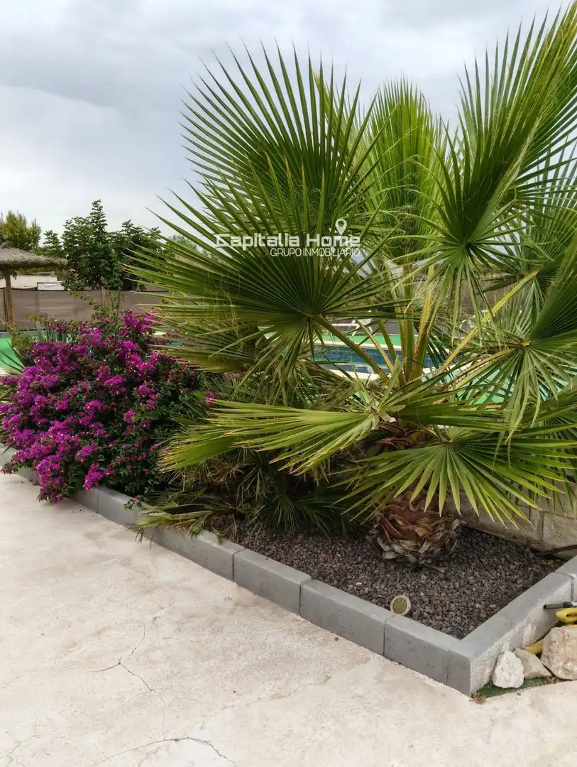 Houses for sale in Cañada, Alicante