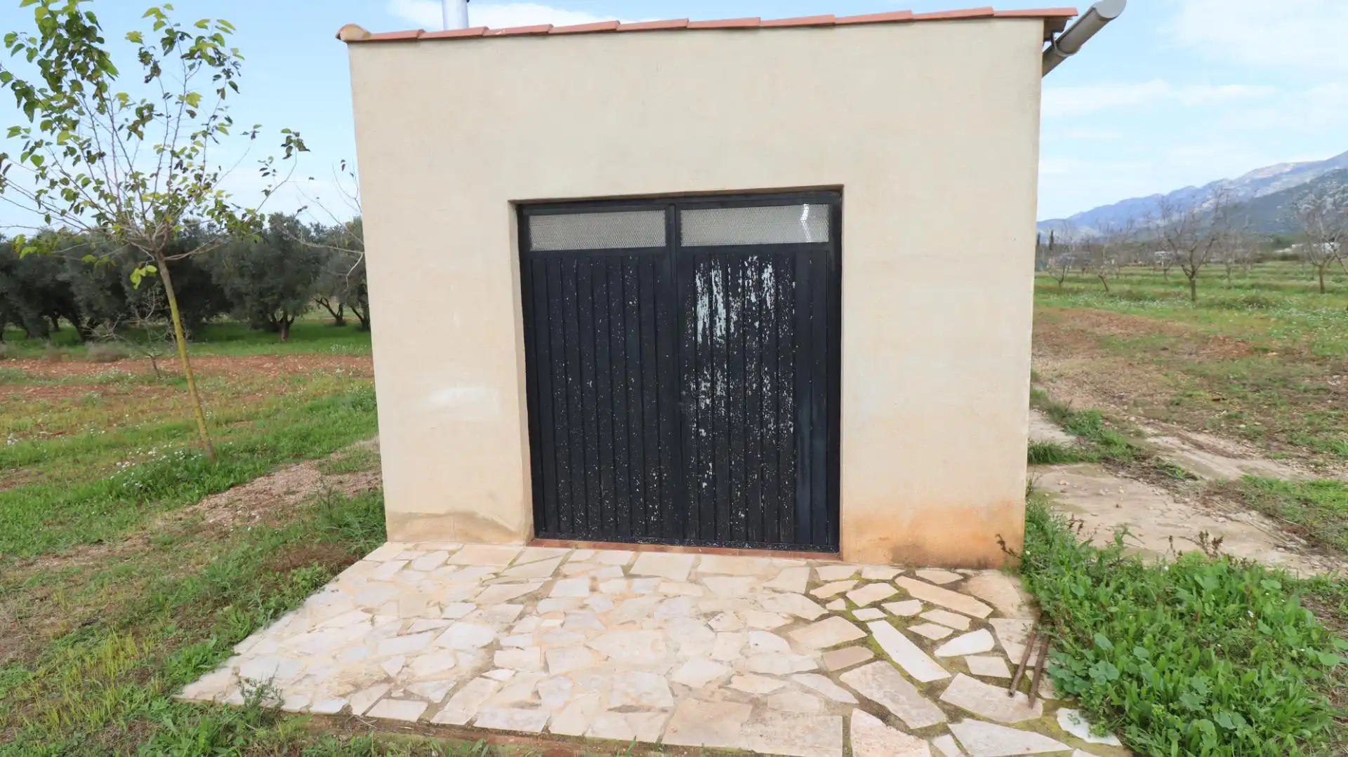 Terreny rústic en venda a Ulldecona, imagen 7