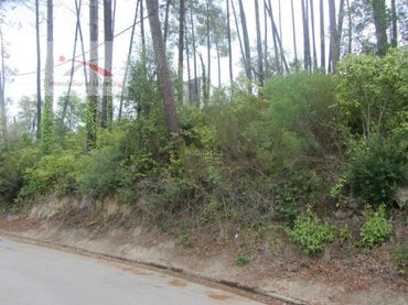 Terreny residencial en venda a Lloret Blau - La Creu de Lloret