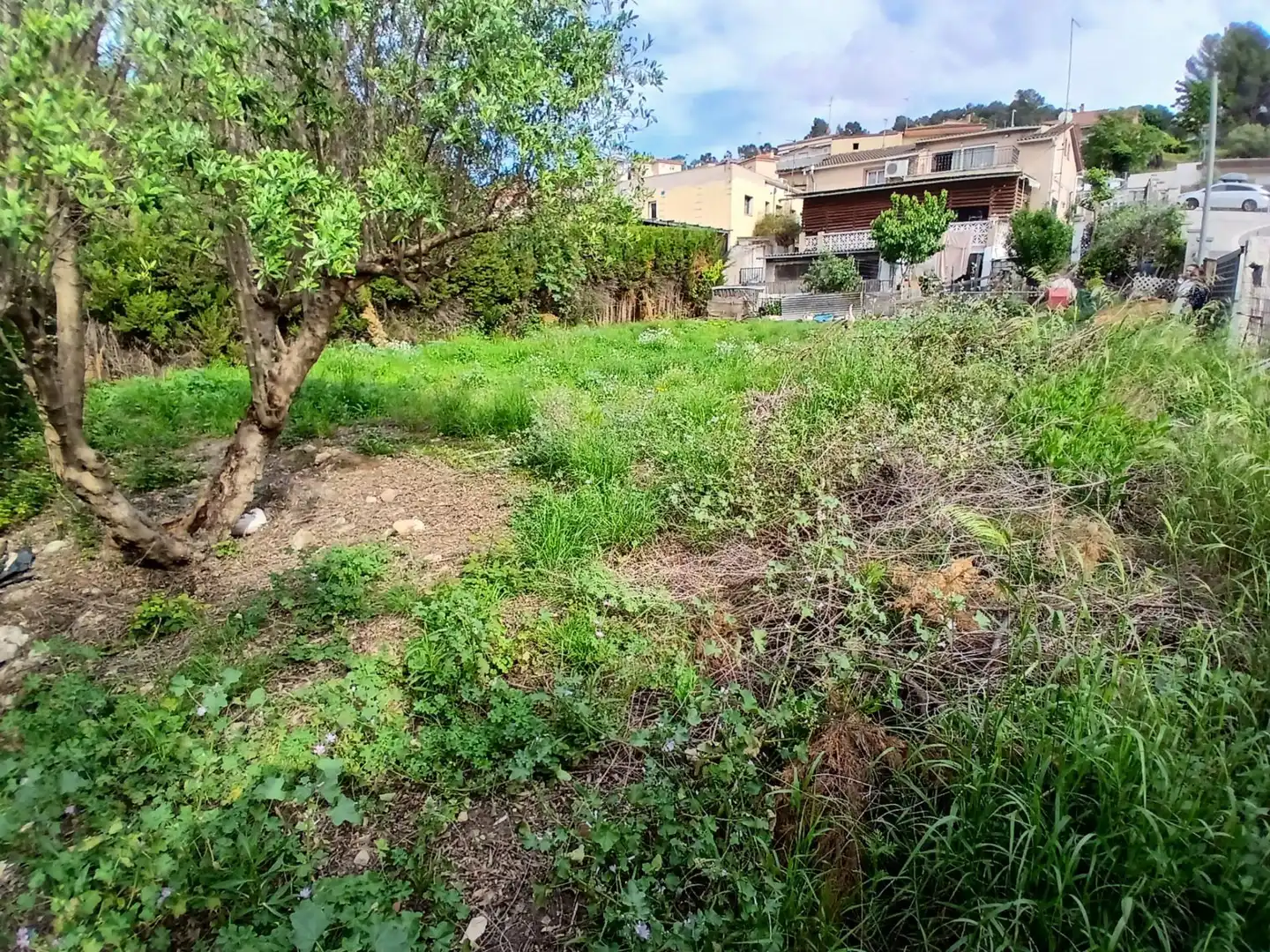 Terrenos y solares en venta en Castellbisbal, imagen 3