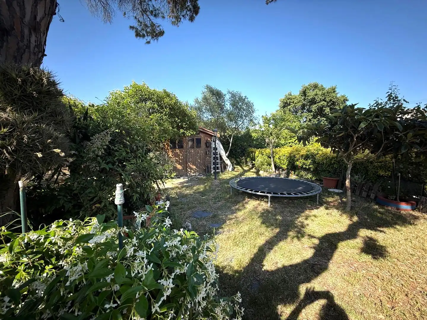 Haus mit Pool zum Verkauf in Carrer Bosc, imagen 23