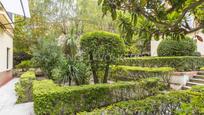 Jardí de Apartament en venda en  Madrid Capital amb Calefacció i Traster