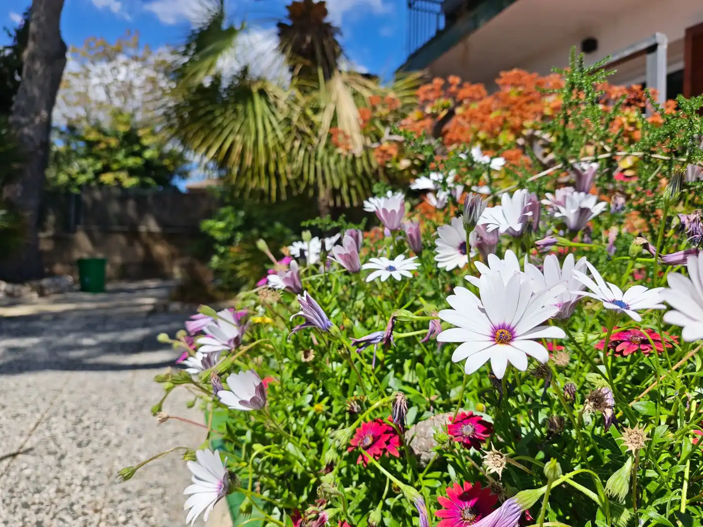 Garden of Houses for sale in Bellvei  with Heating, Private garden and Terrace