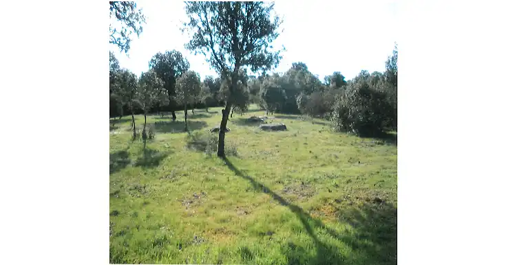 Terreni e lotti in vendita a Marugán, imagen 24