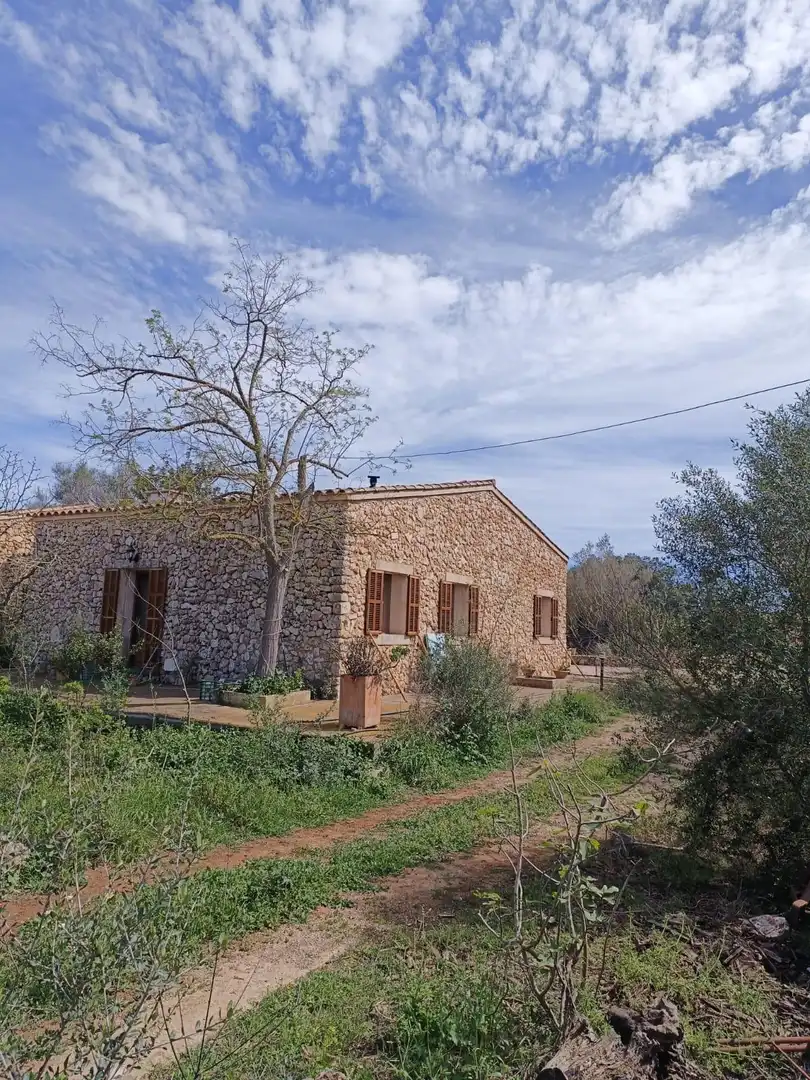 Casa rústica amb jardí en venda a Polígono poligono 25 parcela, imagen 7